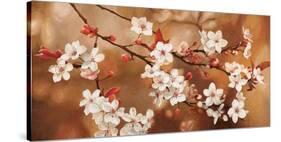 Sakura-Jenny Thomlinson-Stretched Canvas