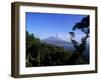 Sakurajima-null-Framed Photographic Print