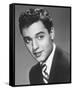 Sal Mineo-null-Framed Stretched Canvas