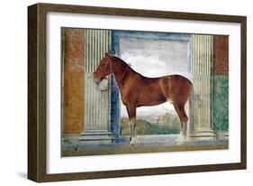 Sala Dei Cavalli, Chestnut Horse from the Stables of Ludovico Gonzaga III of Mantua, 1528-Giulio Romano-Framed Giclee Print