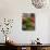 Salad and Vegatables on a Market Stall, France, Europe-Richardson Peter-Photographic Print displayed on a wall