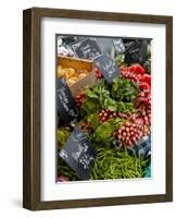 Salad and Vegatables on a Market Stall, France, Europe-Richardson Peter-Framed Photographic Print