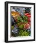 Salad and Vegatables on a Market Stall, France, Europe-Richardson Peter-Framed Photographic Print