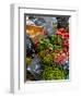 Salad and Vegatables on a Market Stall, France, Europe-Richardson Peter-Framed Photographic Print