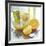 Salad Dressing-David Munns-Framed Photographic Print