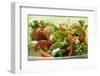 Salad Leaves with Cucumber, Tomato, Carrots, Peppers to Take Away-Foodcollection-Framed Photographic Print