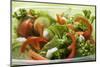 Salad Leaves with Cucumber, Tomato, Carrots, Peppers to Take Away-Foodcollection-Mounted Photographic Print