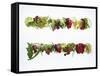 Salad Leaves with Meadow Flowers-Luzia Ellert-Framed Stretched Canvas