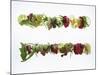 Salad Leaves with Meadow Flowers-Luzia Ellert-Mounted Photographic Print