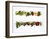 Salad Leaves with Meadow Flowers-Luzia Ellert-Framed Photographic Print