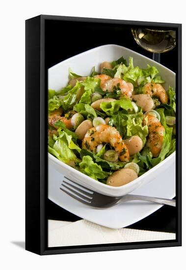 Salad with Shrimp, White Beans, Onions, Arugula, Cuisines-Nico Tondini-Framed Stretched Canvas