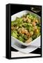 Salad with Shrimp, White Beans, Onions, Arugula, Cuisines-Nico Tondini-Framed Stretched Canvas