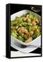 Salad with Shrimp, White Beans, Onions, Arugula, Cuisines-Nico Tondini-Framed Stretched Canvas