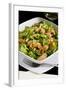 Salad with Shrimp, White Beans, Onions, Arugula, Cuisines-Nico Tondini-Framed Photographic Print