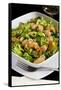 Salad with Shrimp, White Beans, Onions, Arugula, Cuisines-Nico Tondini-Framed Stretched Canvas