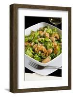 Salad with Shrimp, White Beans, Onions, Arugula, Cuisines-Nico Tondini-Framed Photographic Print