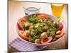 Salad with Tofu Tomatoes Arugula and Sesame Seeds-Marco Mayer-Mounted Photographic Print