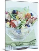 Salade Niçoise-Howard Shooter-Mounted Photographic Print