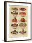 Salads, Isabella Beeton, UK-null-Framed Giclee Print