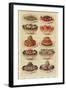 Salads, Isabella Beeton, UK-null-Framed Giclee Print