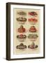 Salads, Isabella Beeton, UK-null-Framed Giclee Print