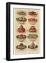 Salads, Isabella Beeton, UK-null-Framed Giclee Print