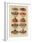 Salads, Isabella Beeton, UK-null-Framed Giclee Print