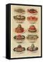 Salads, Isabella Beeton, UK-null-Framed Stretched Canvas