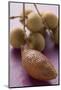 Salak Fruits and Longans-Foodcollection-Mounted Photographic Print