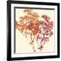 Salamanca-Erin Clark-Framed Giclee Print