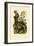 Salamander, 1833-39-null-Framed Giclee Print