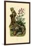 Salamander, 1833-39-null-Framed Giclee Print