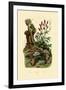 Salamander, 1833-39-null-Framed Giclee Print