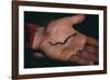 Salamander Resting in the Palm of a Hand-DLILLC-Framed Photographic Print