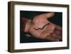 Salamander Resting in the Palm of a Hand-DLILLC-Framed Photographic Print