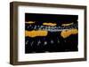 Salamandra Salamandra Terrestris (Fire Salamander)-Paul Starosta-Framed Photographic Print