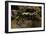 Salamandra Salamandra Terrestris (Fire Salamander)-Paul Starosta-Framed Photographic Print