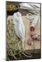Salami, Completely, Bragged, Wood Board, Olive Branch, Detail, Fuzziness-Nikky-Mounted Photographic Print