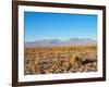 Salar de Atacama, Atacama Desert, Antofagasta Region, Chile, South America-Karol Kozlowski-Framed Photographic Print