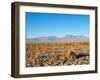 Salar de Atacama, Atacama Desert, Antofagasta Region, Chile, South America-Karol Kozlowski-Framed Photographic Print