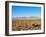 Salar de Atacama, Atacama Desert, Antofagasta Region, Chile, South America-Karol Kozlowski-Framed Photographic Print