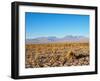 Salar de Atacama, Atacama Desert, Antofagasta Region, Chile, South America-Karol Kozlowski-Framed Photographic Print