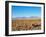 Salar de Atacama, Atacama Desert, Antofagasta Region, Chile, South America-Karol Kozlowski-Framed Photographic Print