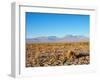 Salar de Atacama, Atacama Desert, Antofagasta Region, Chile, South America-Karol Kozlowski-Framed Photographic Print