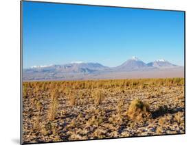 Salar de Atacama, Atacama Desert, Antofagasta Region, Chile, South America-Karol Kozlowski-Mounted Photographic Print