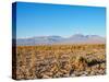 Salar de Atacama, Atacama Desert, Antofagasta Region, Chile, South America-Karol Kozlowski-Stretched Canvas