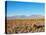 Salar de Atacama, Atacama Desert, Antofagasta Region, Chile, South America-Karol Kozlowski-Stretched Canvas