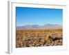 Salar de Atacama, Atacama Desert, Antofagasta Region, Chile, South America-Karol Kozlowski-Framed Photographic Print