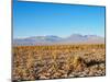 Salar de Atacama, Atacama Desert, Antofagasta Region, Chile, South America-Karol Kozlowski-Mounted Premium Photographic Print