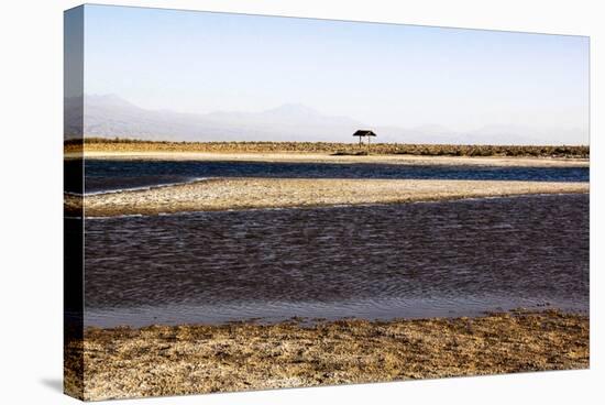 Salar De Atacama, Chile-Françoise Gaujour-Stretched Canvas